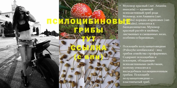 apvp Сатка