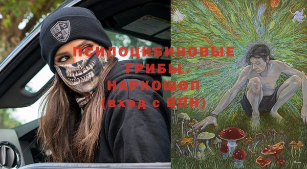 apvp Сатка