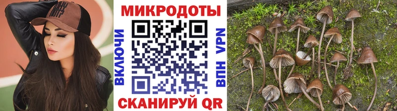 Купить где  Сердобск  Галлюциногенные грибы MAGIC MUSHROOMS 