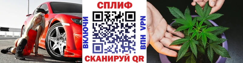 Бошки Шишки планчик  Купить где  Сердобск 